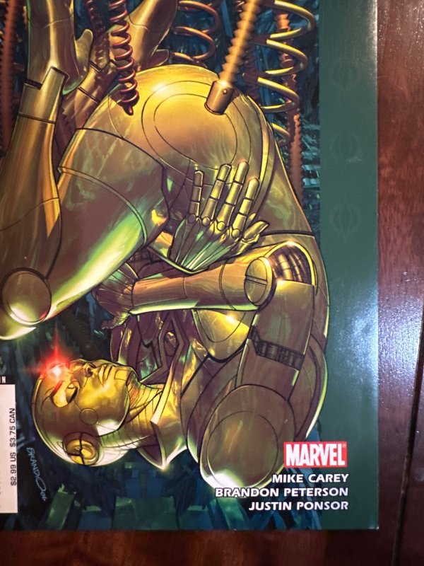 Ultimate Vision #2 (2007)