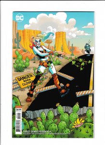 HARLEY QUINN & POISON IVY #04 (2020) AMANDA CONNER | 2 BOOK CONNECTION SET