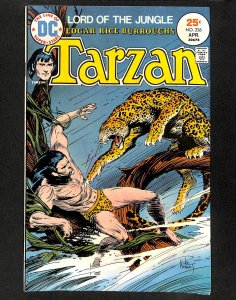 Tarzan (1972) #236