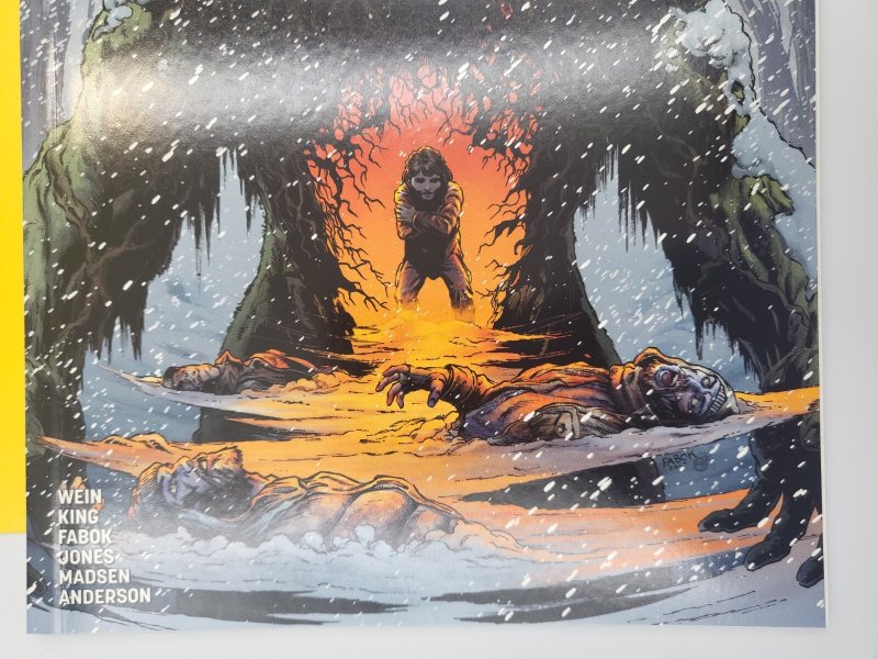 Swamp Thing Winter Special #1 1st Print 2018 DC Comics Tom King