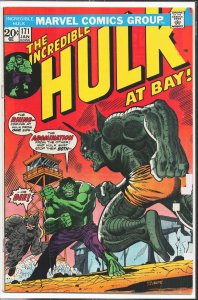 The Incredible Hulk #171 (1974) Hulk