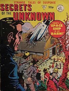 Space Ship in My Barn!