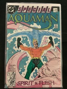 Aquaman Special Direct Edition (1988)