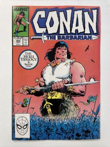 Conan The Barbarian 206