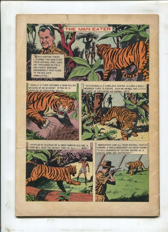 HIGH ADVENTURES #949 - NEW GUINEA! - (4.5) 1958