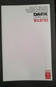 Dark Spaces: Wildfire #1 Cover E (2022)