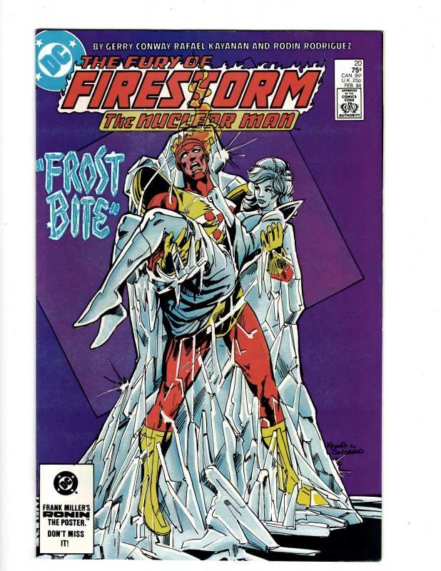 The Fury of Firestorm #20 (1984) SR7