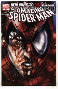 AMAZING SPIDER-MAN #570--VARIANT--Marvel--comic book--2008