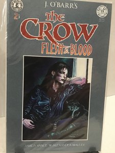 The Crow: Flesh and Blood #2 (1996)