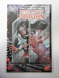 Porcelain #5 Cover D