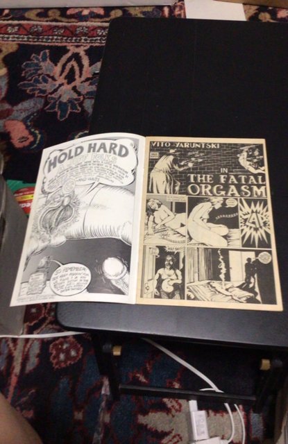 All Canadian Beaver Comix (1974) Adult underground comic book High grade VF+ Wow