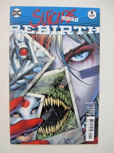 *Suicide Squad (2016, Jim Lee) Rebirth, 1-8, 10-14 ($42 cover, 14 books)