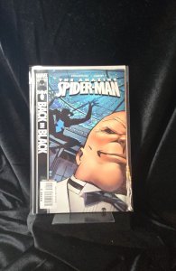The Amazing Spider-Man #542 (2007)  