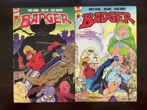 Badger #46 52 Capital/First 1989 VF 8.0