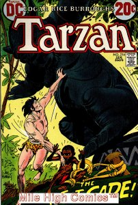 TARZAN (1972 Series)  (DC) #216 Very Good Comics Book