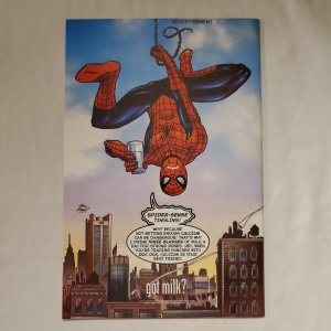 Peter Parker Spider-Man 14 Near Mint Cover by John Romita Jr.