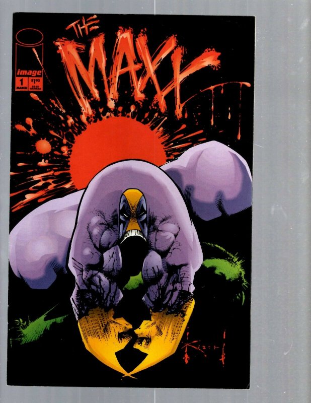 12 Comics The Maxx #1 3 4 5 8 13 Shaman's Tears 1 Shadowmen #10 11 and more EK21