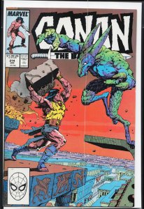 Conan the Barbarian #214 (1989) Conan