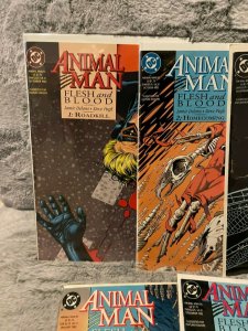 Lot of 5 Animal Man Dc Comics 51 52 53 54 55 