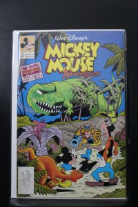 Mickey Mouse Adventures #17 (1991)