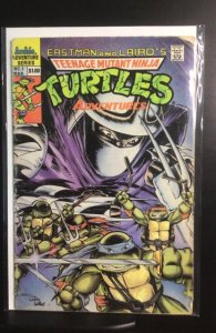 Teenage Mutant Ninja Turtles Adventures #1 (1989)