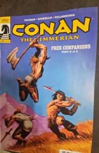 Conan the Cimmerian #17 (2010) Linsner