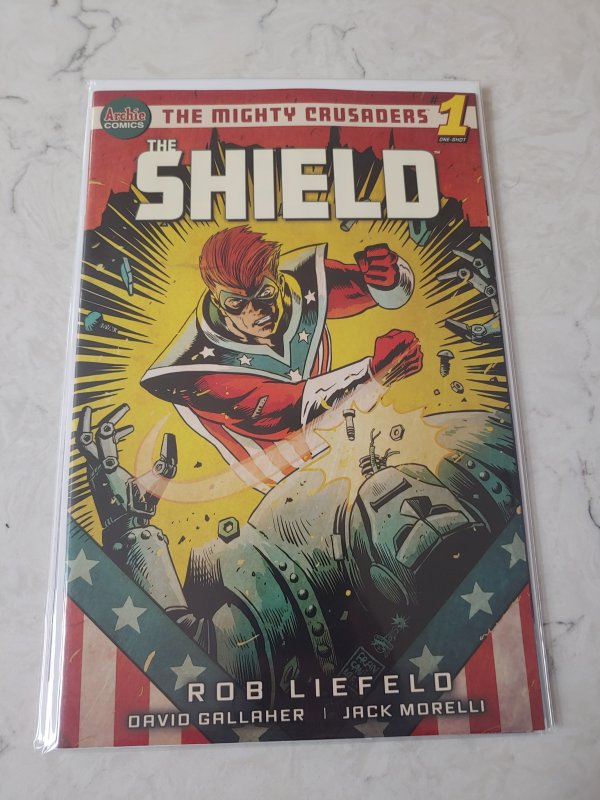 THE SHIELD #1 VARIANT