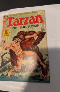 Tarzan #207 1972 [FN+] First DC Issue Origin Tarzan & John Carter of Mars
