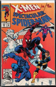 The Spectacular Spider-Man #197 (1993) Spider-Man