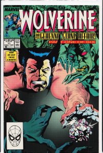Wolverine #17 (1989) Wolverine