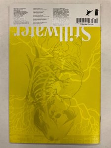 Stillwater #1 (2020)