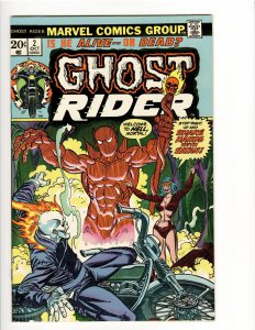 GHOST RIDER 2 NM 9.6 1st APP.SON OF SATAN and OTHERS LOUISIANA COLLECTION