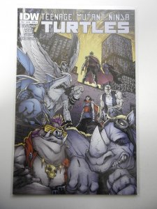 Teenage Mutant Ninja Turtles #42 (2015)