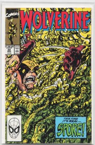 Wolverine #22 (1990) Wolverine