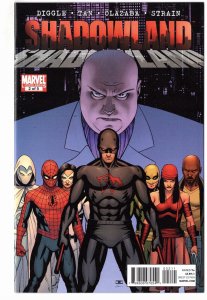 Shadowland #2 (2010)