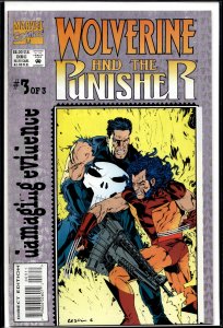 Wolverine and the Punisher: Damaging Evidence #3 (1993) Punisher