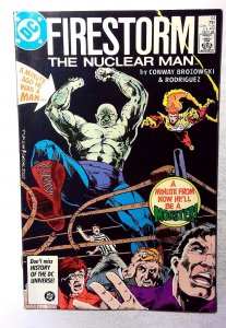 The Fury of Firestorm #51 (1986) DC Comics 1st Print Comic Book