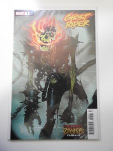 Ghost Rider #7 Variant Cover (2020)