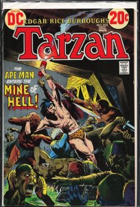 Edgar Rice Burroughs' Tarzan #215 (1972)