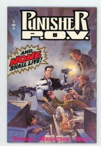 Punisher: P.O.V. #1 Jim Starlin Bernie Wrightson NM