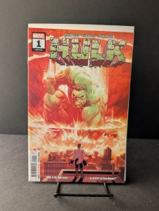 Hulk #1 Ryan Ottley Cover (2022)