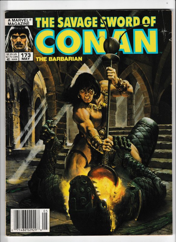 The Savage Sword of Conan #173 (1990)
