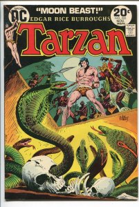 TARZAN #225 1973-DC-EDGAR RICE BURROUGHS-JOE KUBERT JUNGLE ART-SKULL-SNAKE-vf