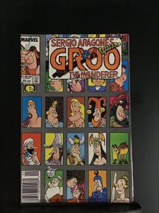 Sergio Aragones Groo the Wanderer #35