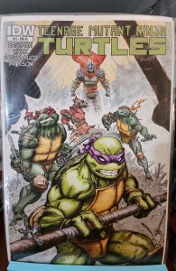 TEENAGE MUTANT NINJA TURTLES #24 RI 1:10 VARIANT COVER (RI)