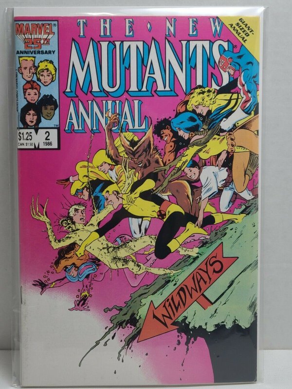 The New Mutants Annual #2