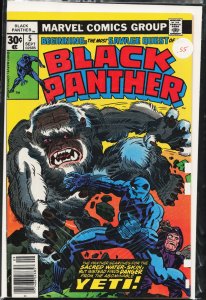 Black Panther #5 (1977) Black Panther