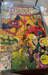 The Amazing Spider-Man #343 (1991) Spider-Man 
