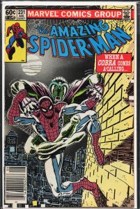 The Amazing Spider-Man #231 (1982) Spider-Man