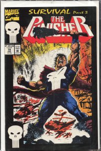 The Punisher #79 (1993) Punisher
